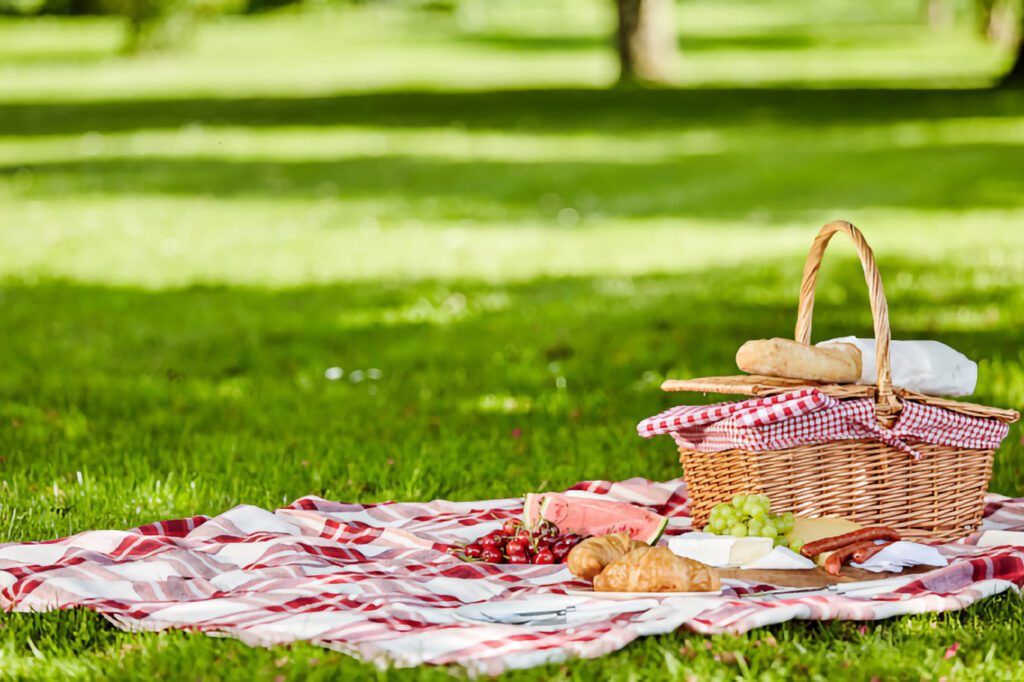 10 Easy to Pack Vegetarian Picnic Food Ideas