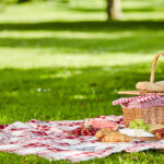 10 Easy to Pack Vegetarian Picnic Food Ideas