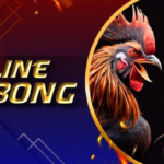 How Online Sabong Apps Are Changing the Betting Scene