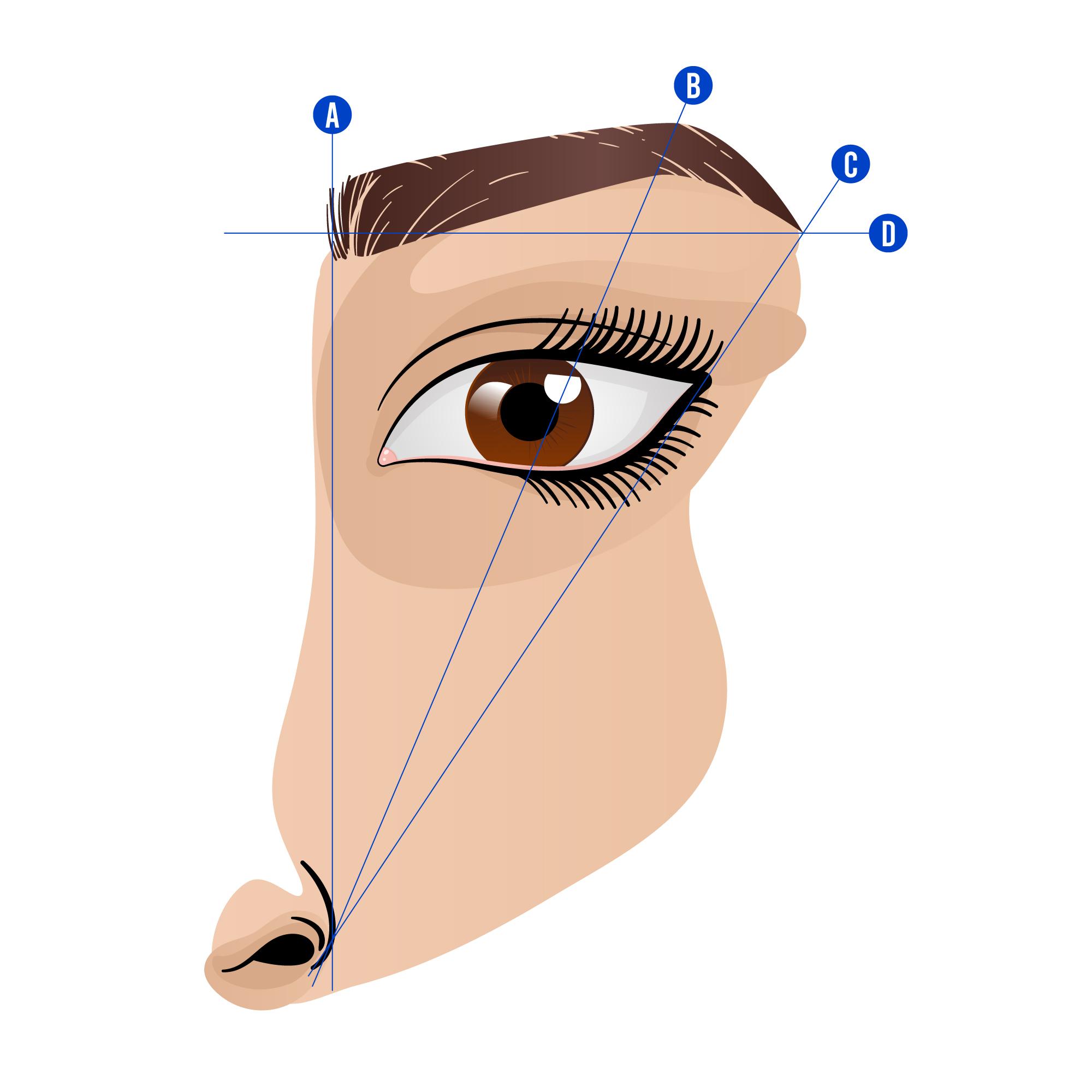Why Eyebrow Mapping is Essential in Permanent Makeup - MlyMenus
