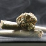 Tips and Advice When Buying a Pre-Rolled Joints Pack for the First Time