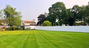 How Sustainable Lawn Maintenance Can Transform Your Outdoor Space?