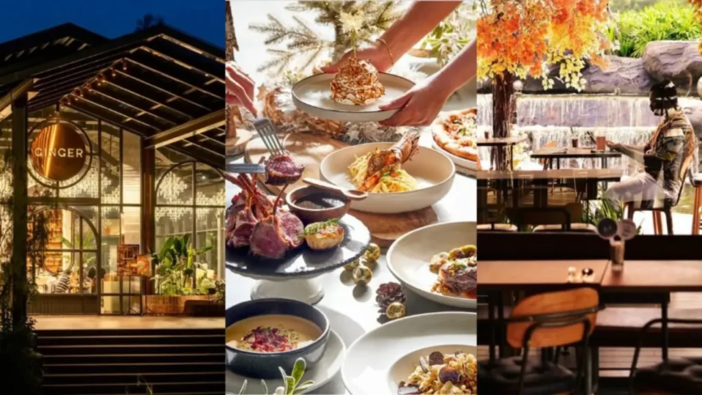 Dining Experience Bamboo Hills Restaurant